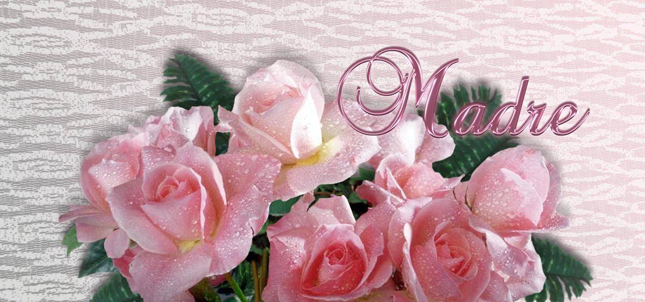 P 264 Ma PK Bouquet Of Roses Pink Pink Madre (Spanish)